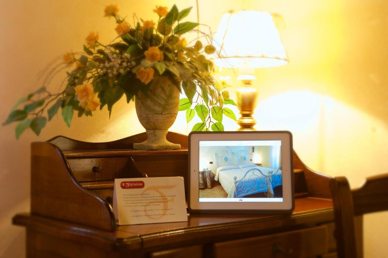 Farm stay Il Felciaione