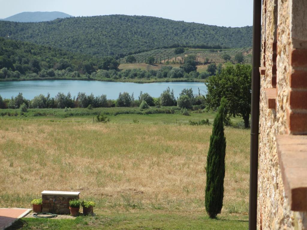 Il Felciaione *